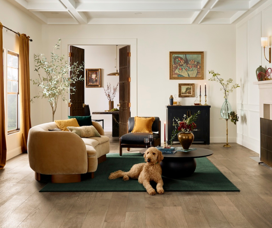 dog on floor with family behind